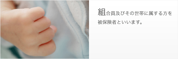 被保険者とは?